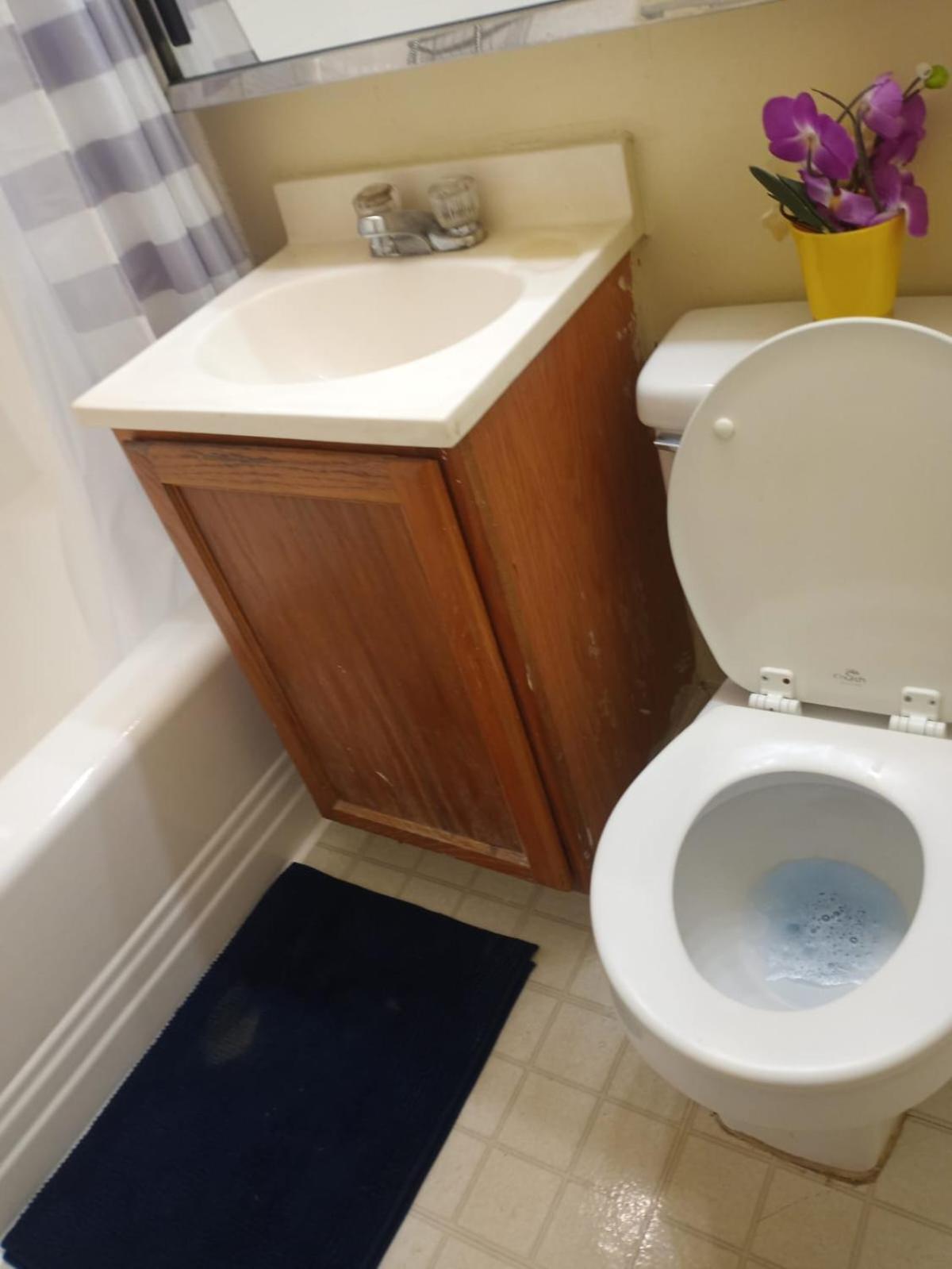Apartment Hampton Silver Spring